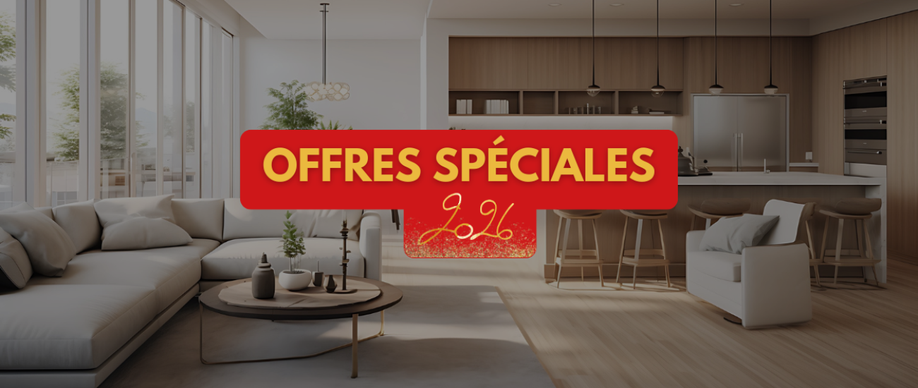 Offres spéciales fêtes : profitez d'avantages exceptionnels sur nos programmes neufs !