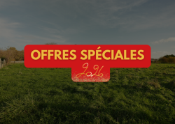 Saint-Manvieu-Norrey - Les jardins de la Mue