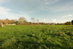 Saint-Manvieu-Norrey - Les jardins de la Mue