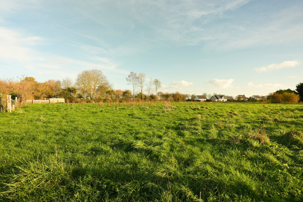 Saint-Manvieu-Norrey - Les jardins de la Mue