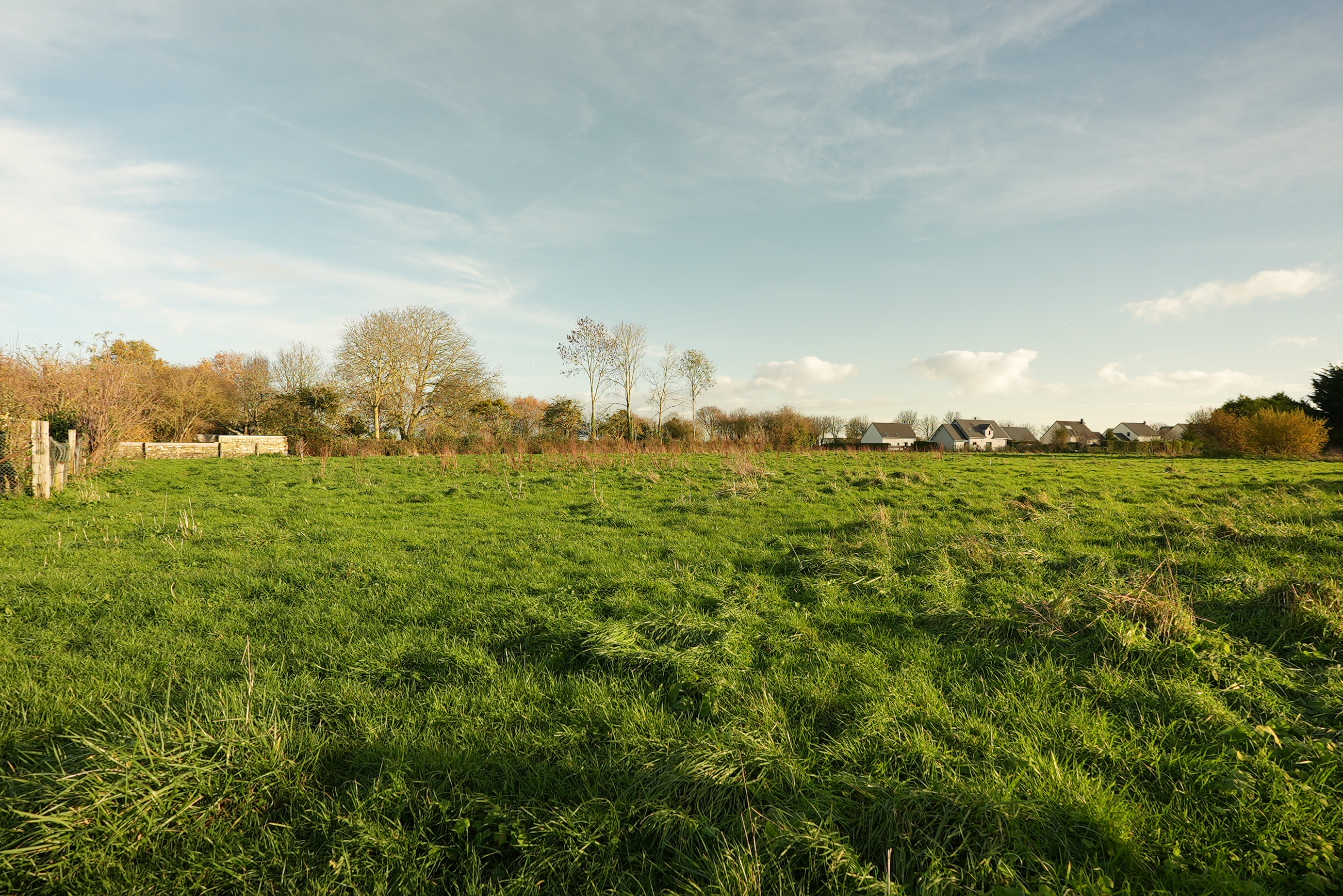 Saint-Manvieu-Norrey - Les jardins de la Mue