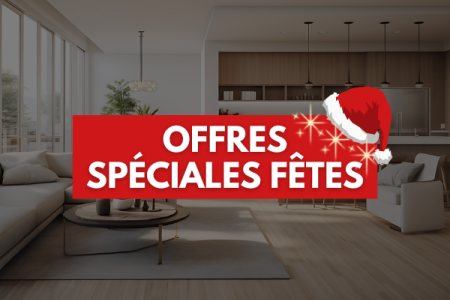 Offres spéciales fêtes : profitez d'avantages exceptionnels sur nos programmes neufs !